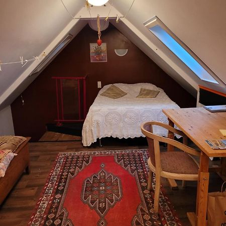 Maison Tres Calme Plein Centre Ville Jardin Moëlan-sur-Mer エクステリア 写真